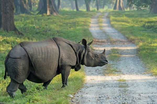 Dooars_e-e1507966662185